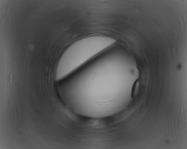X0000095530275200712140941