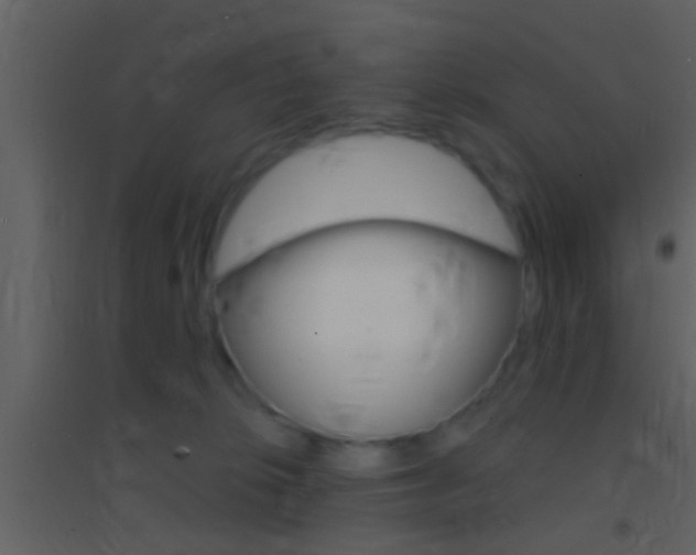 X0000095530276200712140941