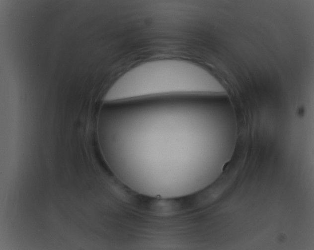 X0000095530277200712140941