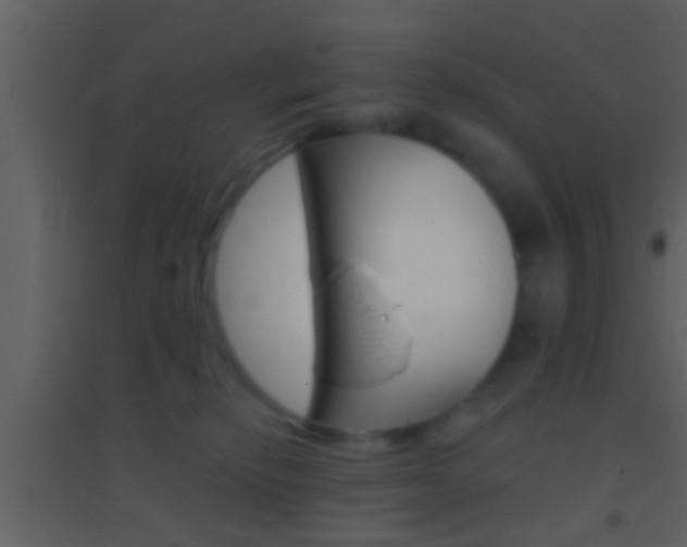 X0000095530278200712140941