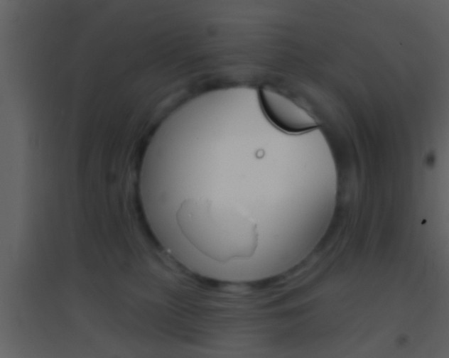 X0000095530279200712140941
