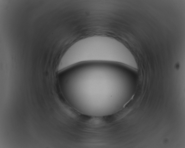X0000095530280200712140941