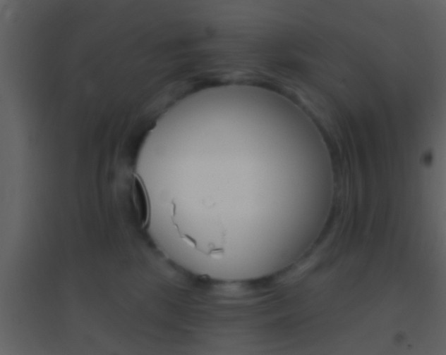 X0000095530281200712140941