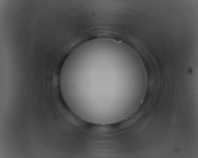 X0000095530282200712140941