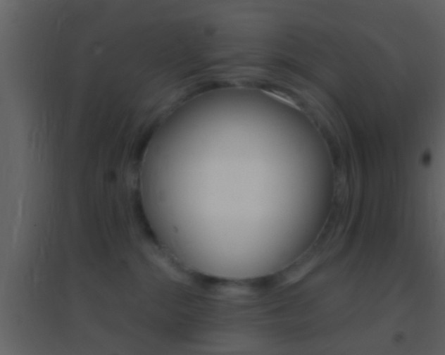 X0000095530284200712140941