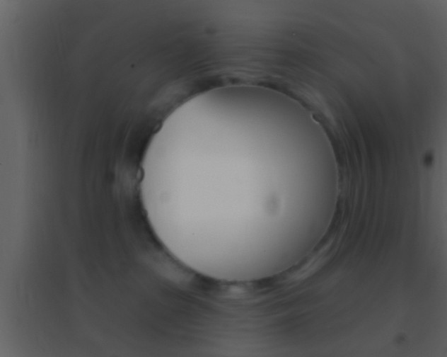 X0000095530285200712140941