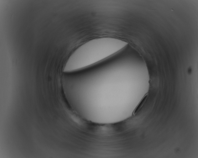 X0000095530286200712140941