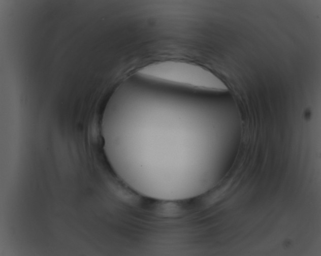 X0000095530287200712140941