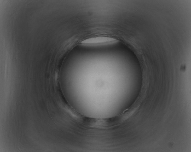X0000095530288200712140941