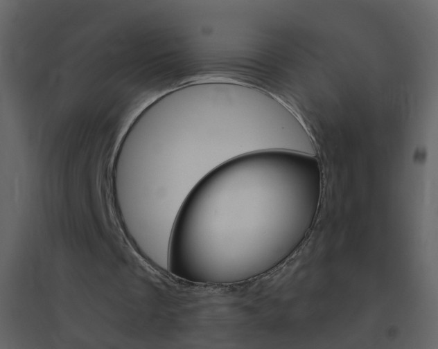 X0000095530289200712140941