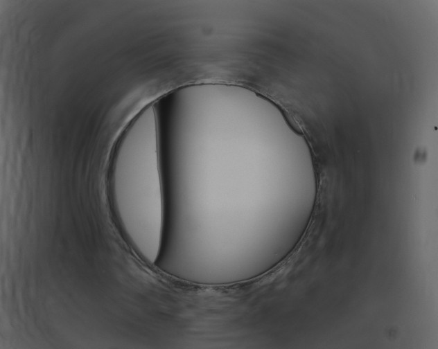 X0000095530290200712140941