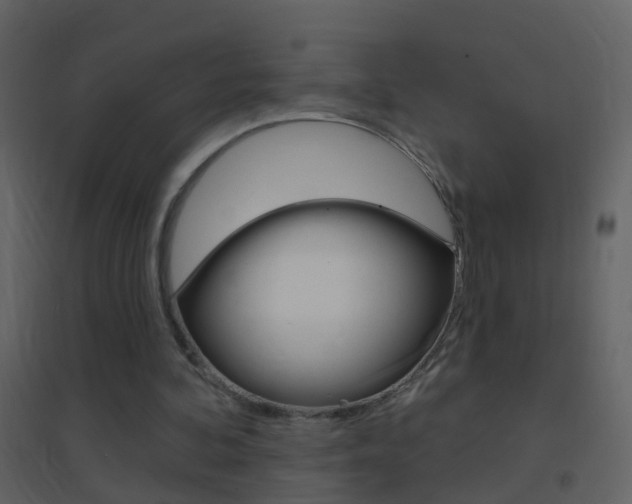 X0000095530292200712140941