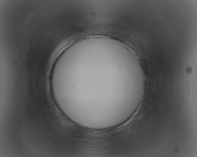 X0000095530293200712140941