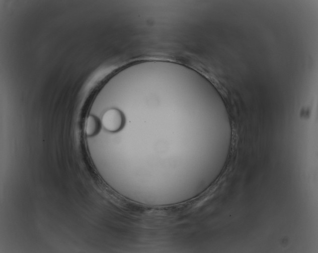 X0000095530294200712140941