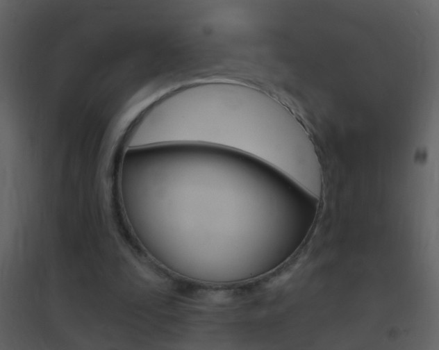 X0000095530295200712140941