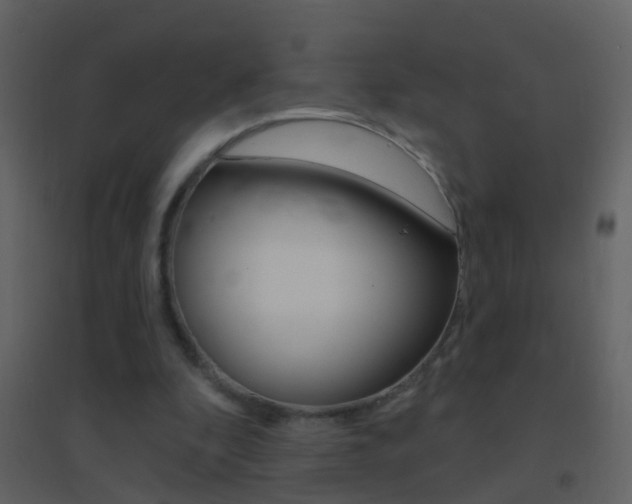 X0000095530296200712140941