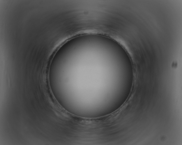 X0000095530297200712140940