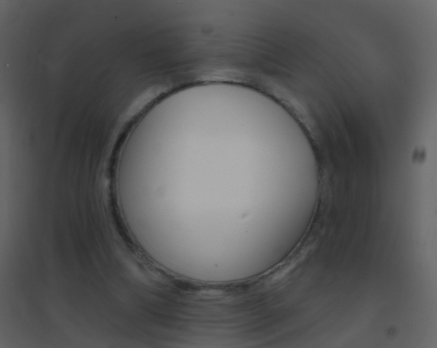 X0000095530298200712140940