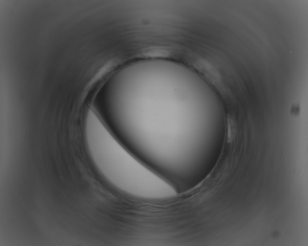 X0000095530300200712140940
