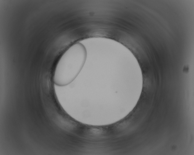 X0000095530302200712140940