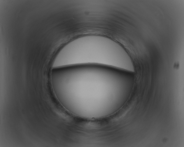 X0000095530303200712140940