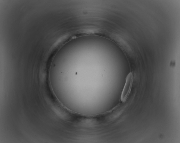 X0000095530304200712140940