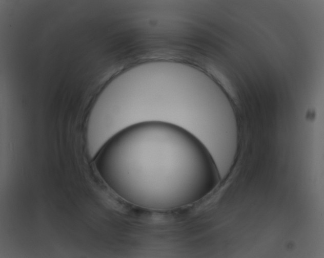 X0000095530305200712140940