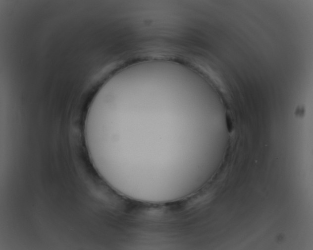 X0000095530306200712140940
