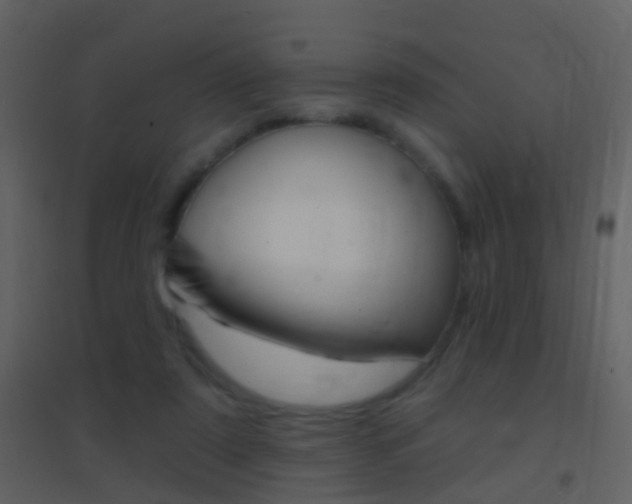 X0000095530307200712140940