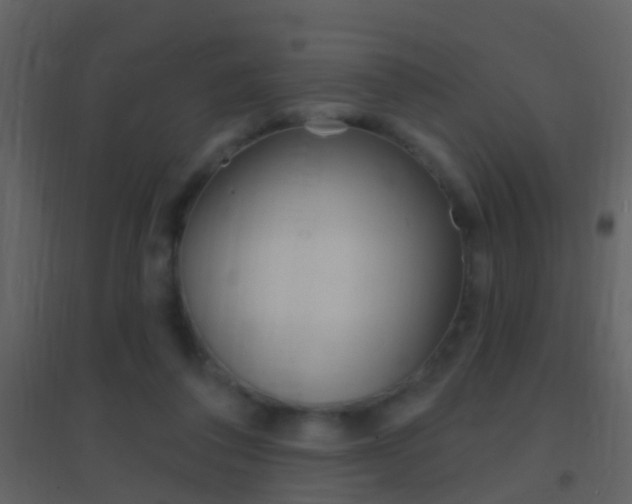 X0000095530308200712140940