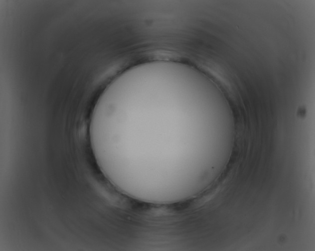 X0000095530310200712140940