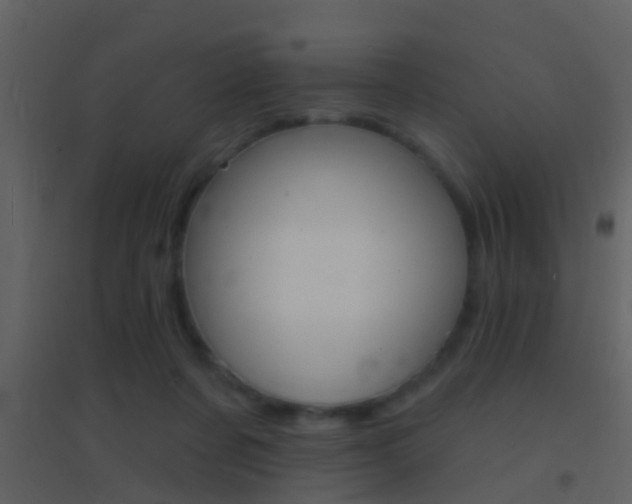 X0000095530311200712140940