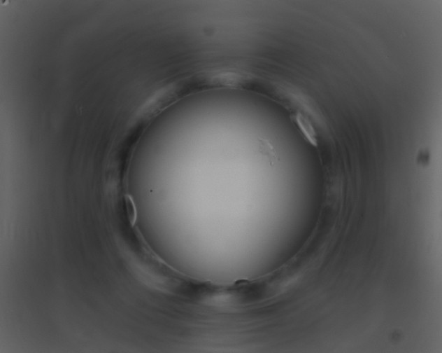 X0000095530312200712140940