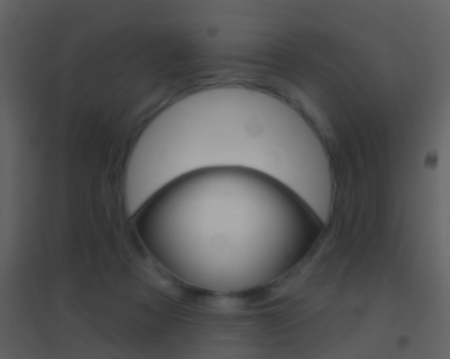 X0000095530313200712140940