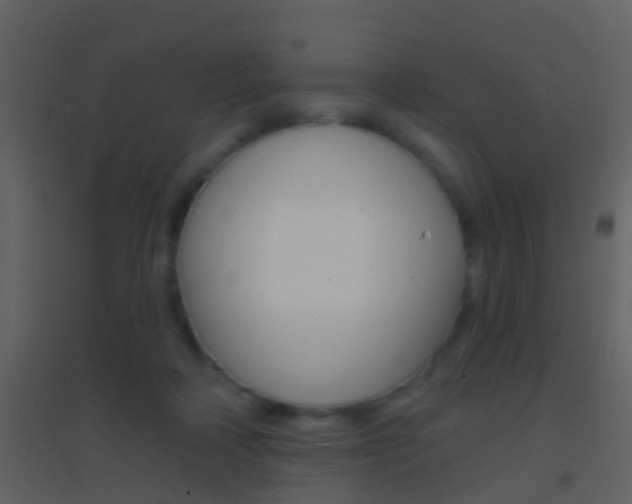 X0000095530314200712140940