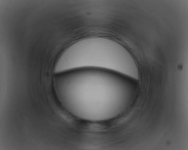 X0000095530315200712140940