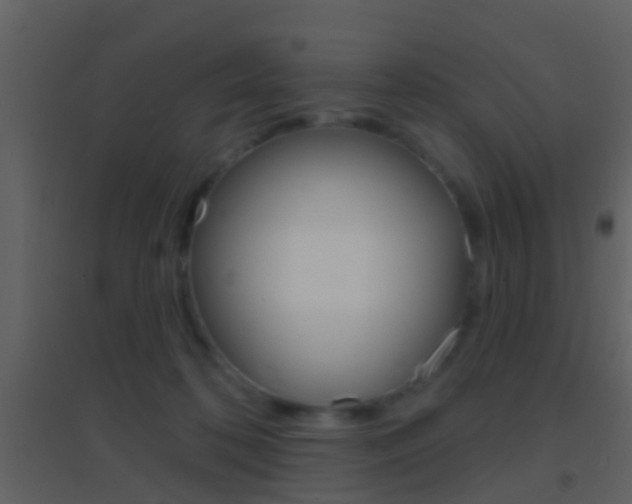 X0000095530316200712140940