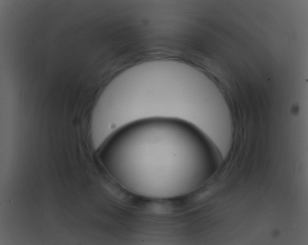 X0000095530317200712140940