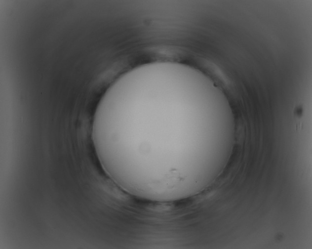X0000095530318200712140940