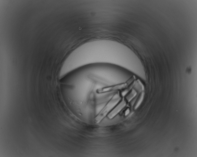 X0000095530320200712140940
