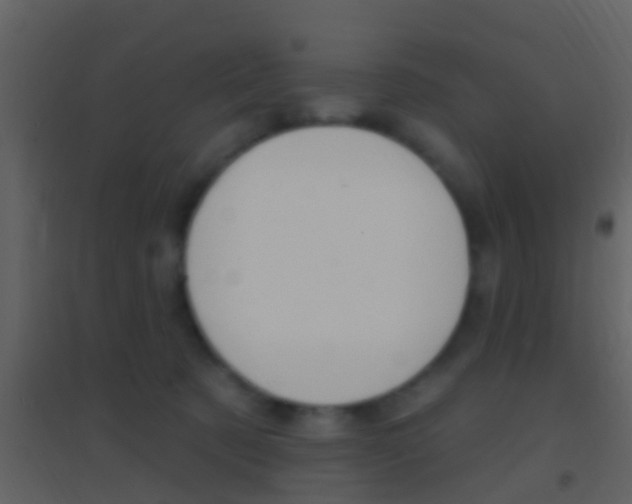 X0000095530321200712140940