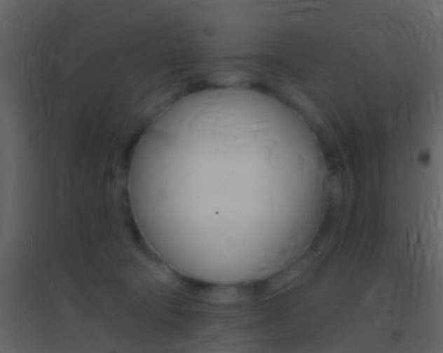 X0000095530322200712140940