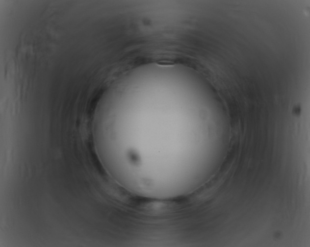 X0000095530323200712140940