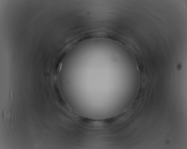 X0000095530324200712140940