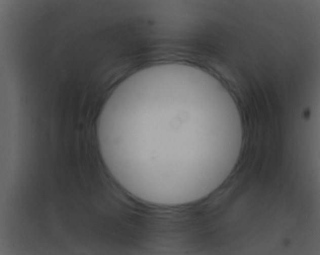 X0000095530325200712140940