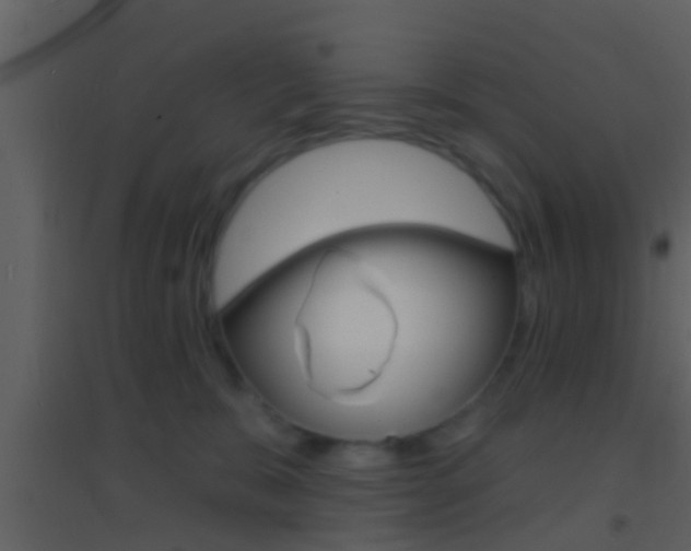 X0000095530327200712140940