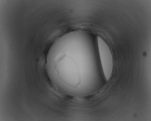 X0000095530328200712140940