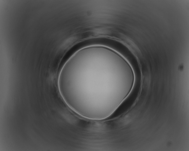 X0000095530329200712140940