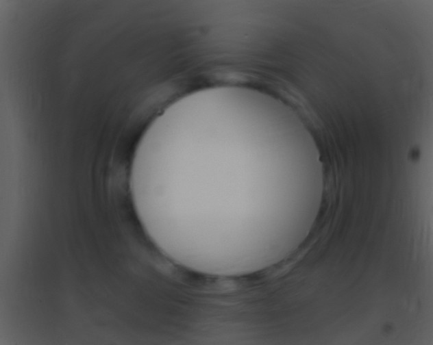 X0000095530330200712140940