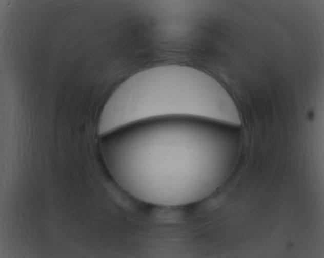 X0000095530331200712140940
